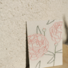 Pivoine / carte – Image 2